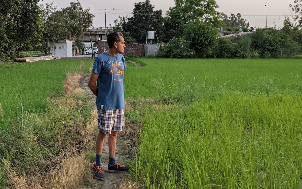 Romancing the Rice