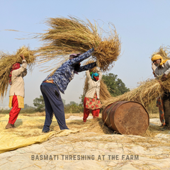 Basmati Rice (Half-milled)