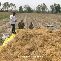 Kabuli / Safed Chana
