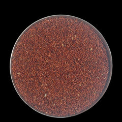 Ragi - Mandua | Naturally grown whole grain | Direct from tribal farmers